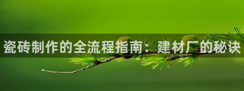 杏鑫平台代理怎么样啊