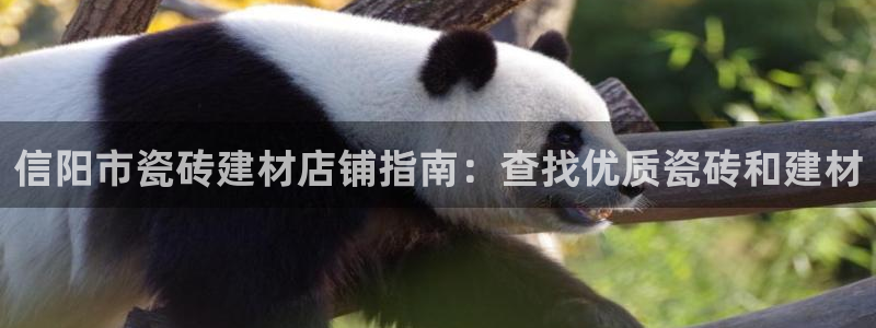 杏鑫招商总代