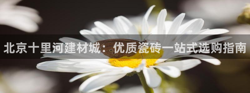 杏鑫平台代理