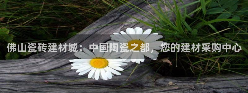 杏鑫平台怎么样黑钱吗是真的吗