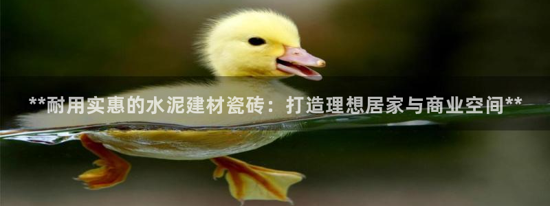 杏鑫平台念7O777