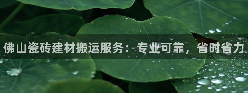 杏鑫平台注册网址查询