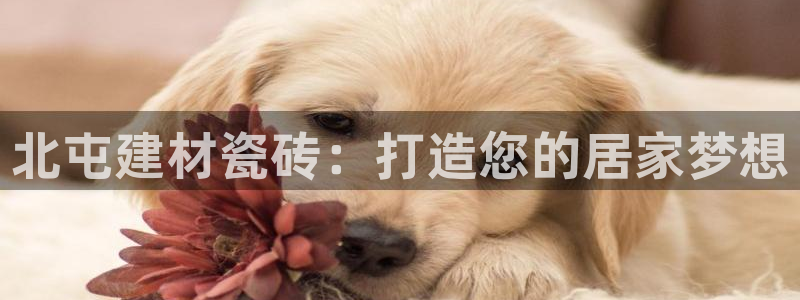 杏鑫平台登录注册