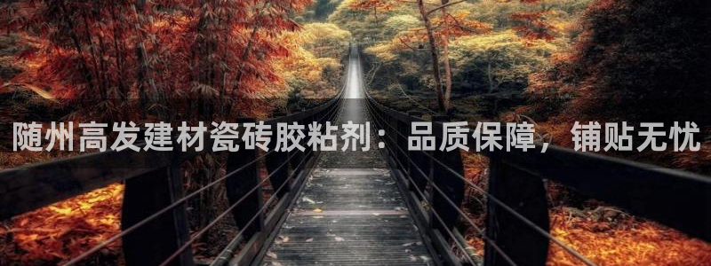杏鑫平台代理怎么样