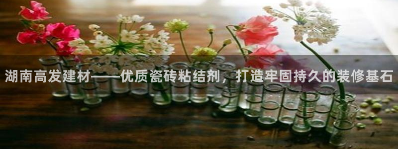 杏鑫注册