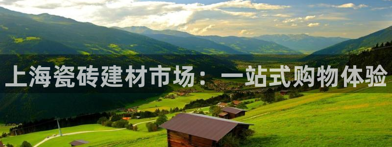 杏鑫官方平台怎么样