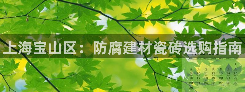 杏鑫平台登录注册
