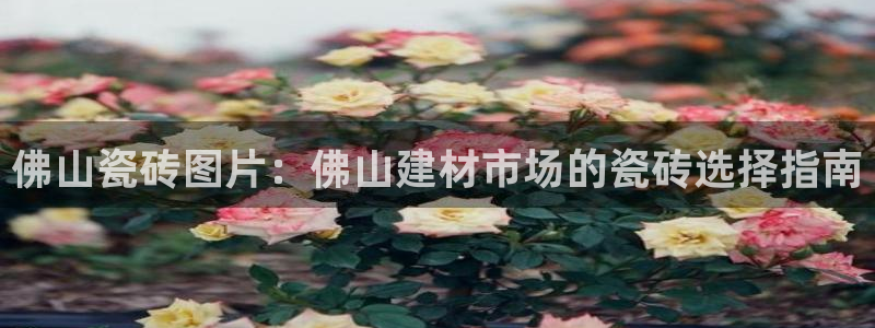 杏鑫娱乐官方网站客户端