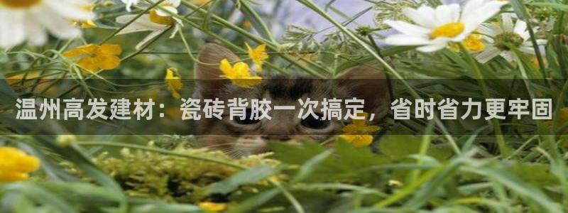 杏鑫娱乐平台登录注册网站