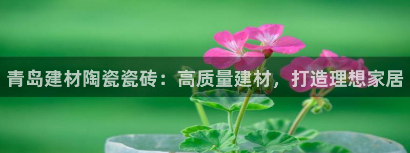 杏鑫平台代理注册多少钱啊