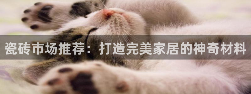 杏鑫娱乐怎么样