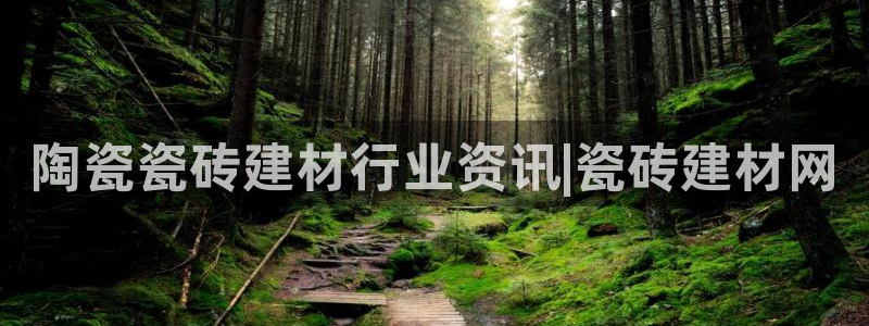 杏鑫官方app代理