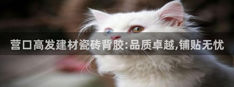 杏鑫平台代理注册多少钱