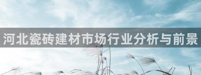 杏鑫官网注册账号