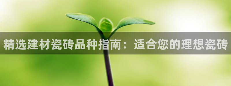 杏鑫平台代理注册流程
