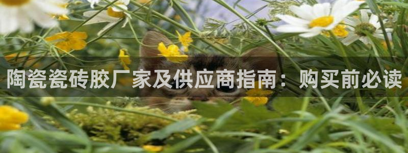 杏鑫平台平台娱乐