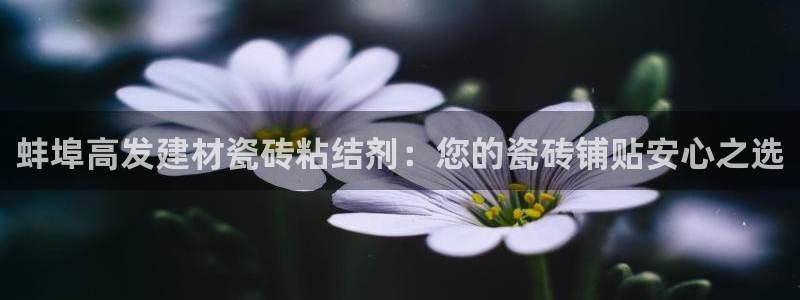 杏鑫平台正规吗