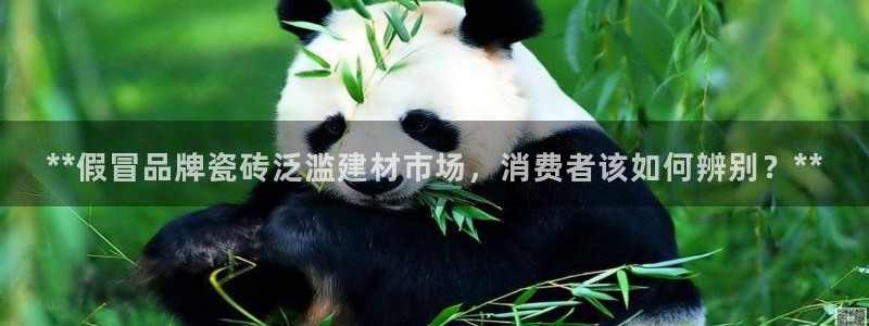 杏鑫娱乐官网