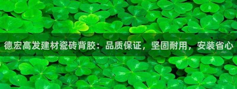 杏鑫官方app代理