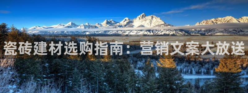 杏鑫娱乐开发团队