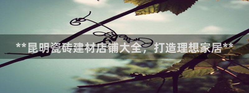 杏鑫平台招商怎么样可靠吗