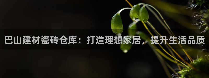 杏鑫平台直属哪个公司