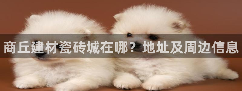 杏鑫平台代理怎么样赚钱