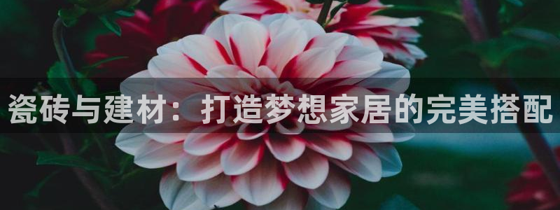 杏鑫平台招商怎么样啊