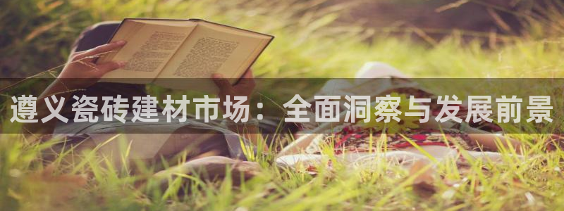 杏鑫平台代理注册流程图