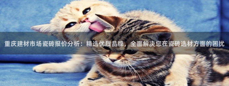 杏鑫官网