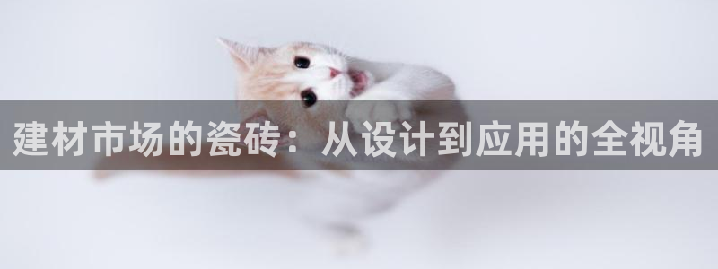 杏鑫娱乐是真的吗