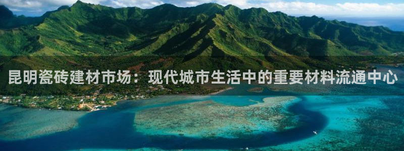 杏鑫平台登录注册