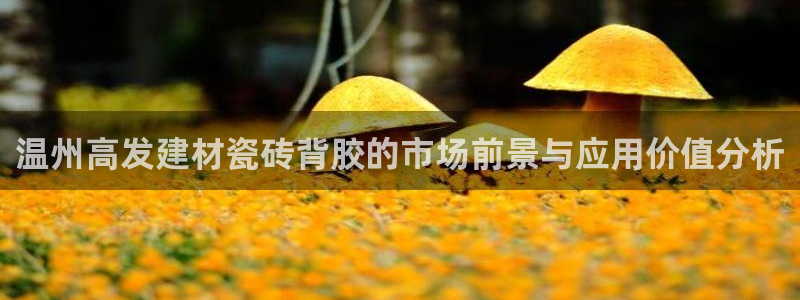 杏鑫平台代理怎么样赚钱