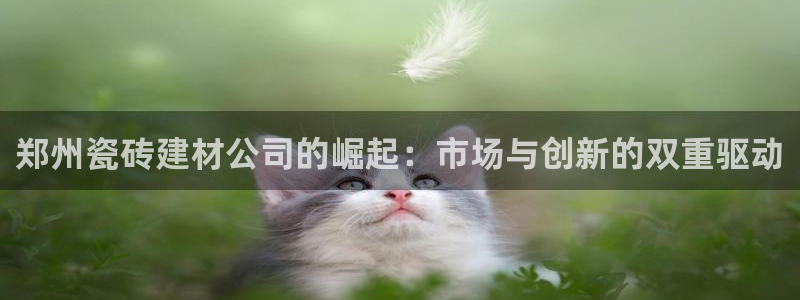 杏鑫官网