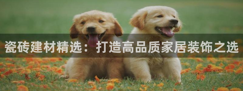 杏鑫平台登录地址