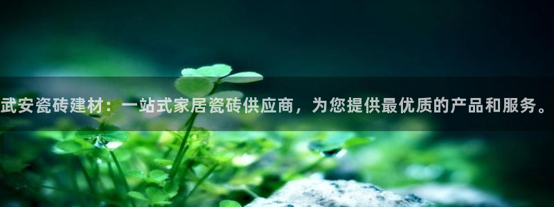 杏鑫官方平台怎么样啊知乎