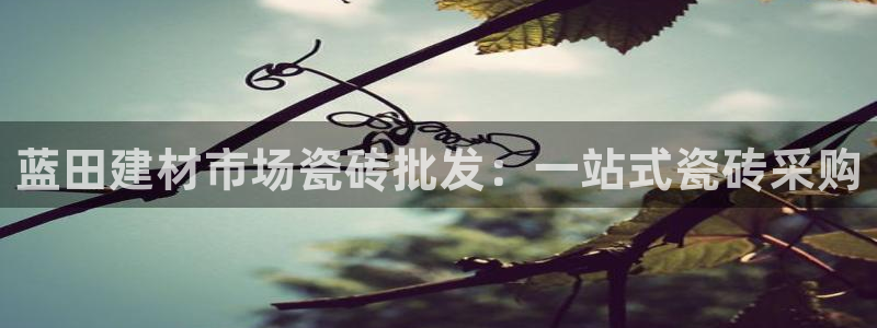 杏鑫娱乐负责人