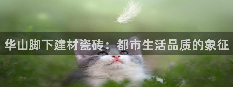 杏鑫平台登陆