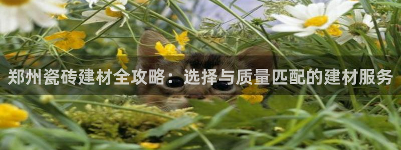 杏鑫注册登录网址是多少