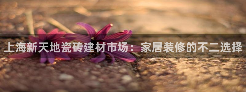 杏鑫平台正规吗是真的吗