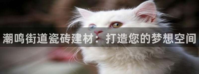 杏鑫平台注册入口在哪