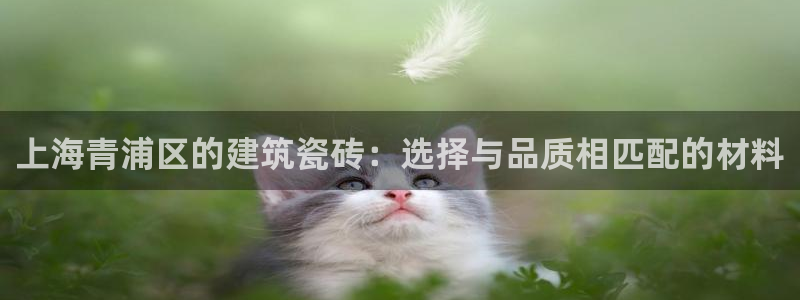 杏鑫平台怎么样黑钱吗安全吗可靠吗