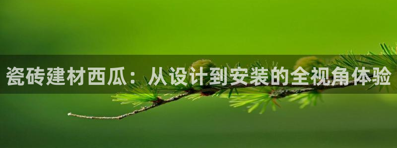 杏鑫平台注册网址