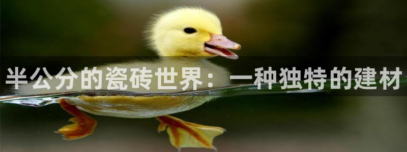 杏鑫平台注册地址在哪里