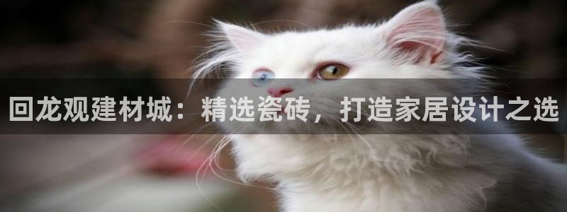 杏鑫娱乐是合法的吗是真的吗