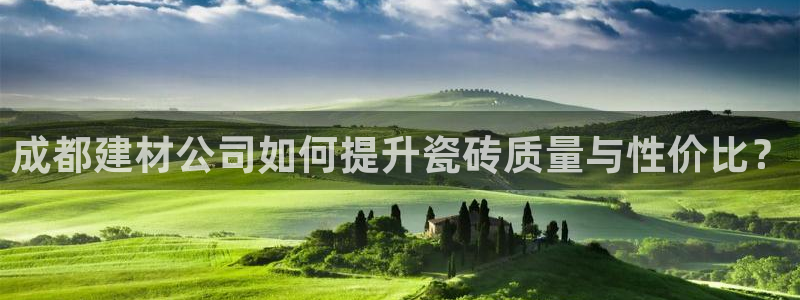 杏鑫有亏损返点吗