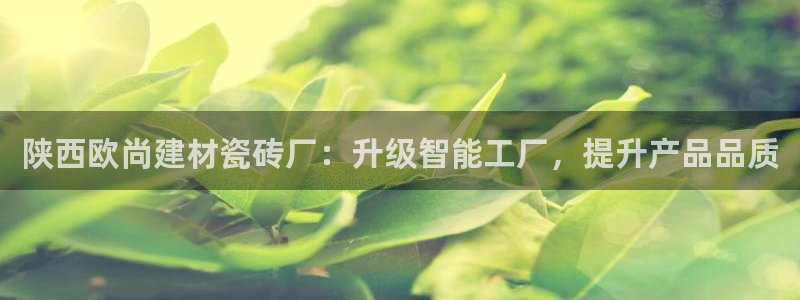 杏鑫官网注册账号密码是什么