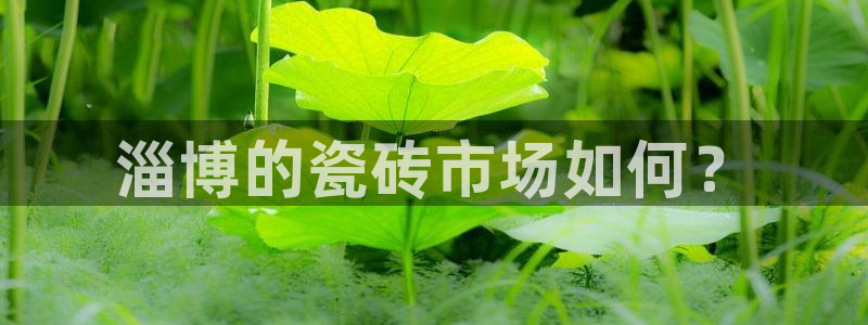 杏鑫平台怎么样黑钱吗是真的吗知乎