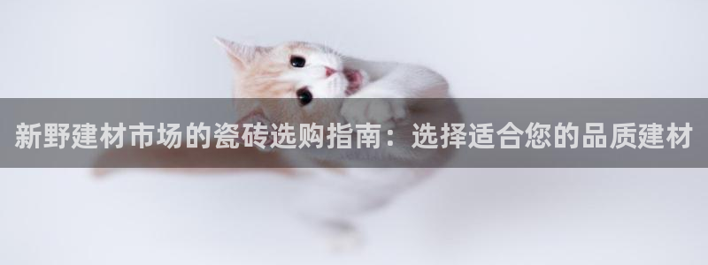 杏鑫平台怎么样黑钱吗是真的吗